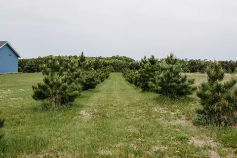 39013 418th Ave, Perham, MN 56573 photo 7