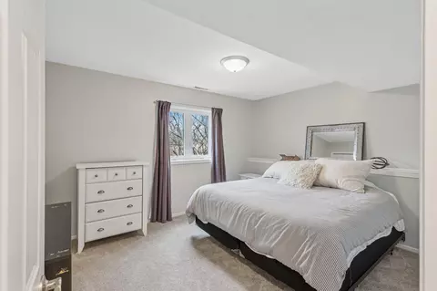 3664 Canary Way, Eagan, MN 55123 photo 24