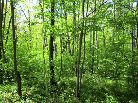 lot1 85th St, Frederic, WI 54837 photo 5
