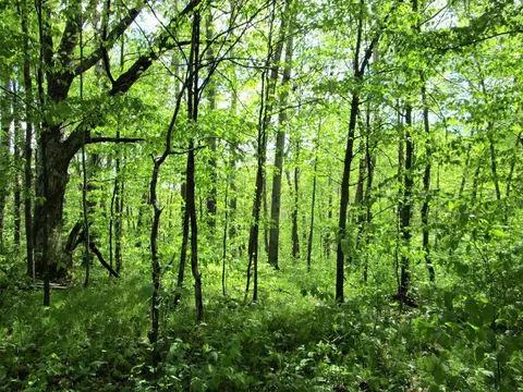 lot2 85th St, Frederic, WI 54837 photo 4