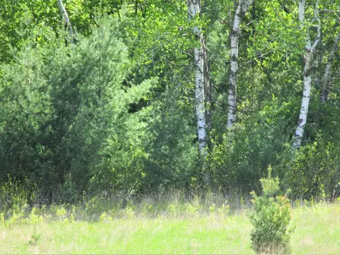 lot2 85th St, Frederic, WI 54837 photo 2