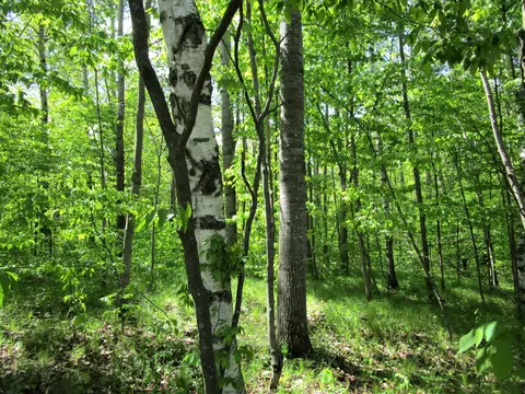 lot2 85th St, Frederic, WI 54837 photo 3