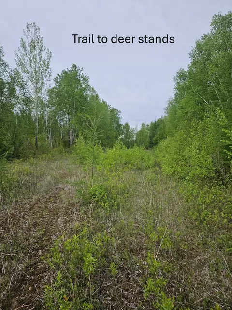 tbd 425 Pl, Aitkin, MN 56431 photo 5