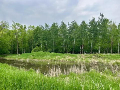 Other - 10696 Leaf River Rd, Wadena, MN 56482 photo 7 of 7