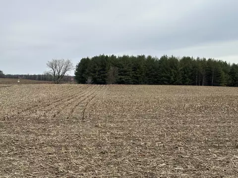 tbd 60th Ave, Princeton, MN 55371