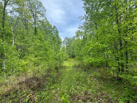 tbd 2 Aurora Dr, Walker, MN 56484 photo 5