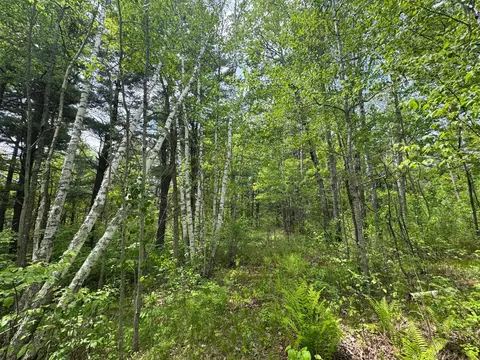 tbd 2 Aurora Dr, Walker, MN 56484 photo 4