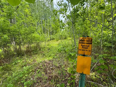 tbd 2 Aurora Dr, Walker, MN 56484 photo 6