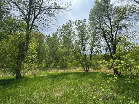 tbd 1 Aurora Dr, Walker, MN 56484 photo 3