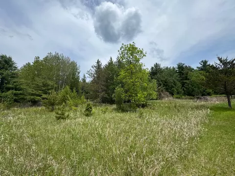tbd 1 Aurora Dr, Walker, MN 56484 photo 6