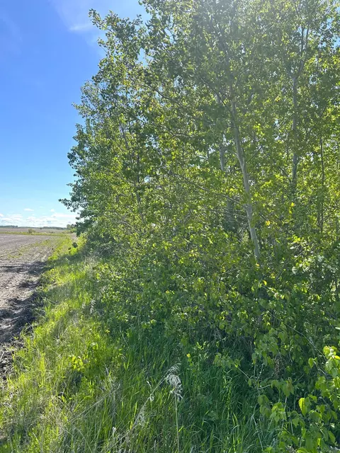 tbd 110th St, Strathcona, MN 56759 photo 26
