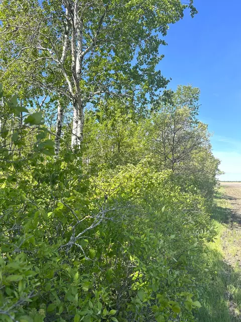 tbd 110th St, Strathcona, MN 56759 photo 25