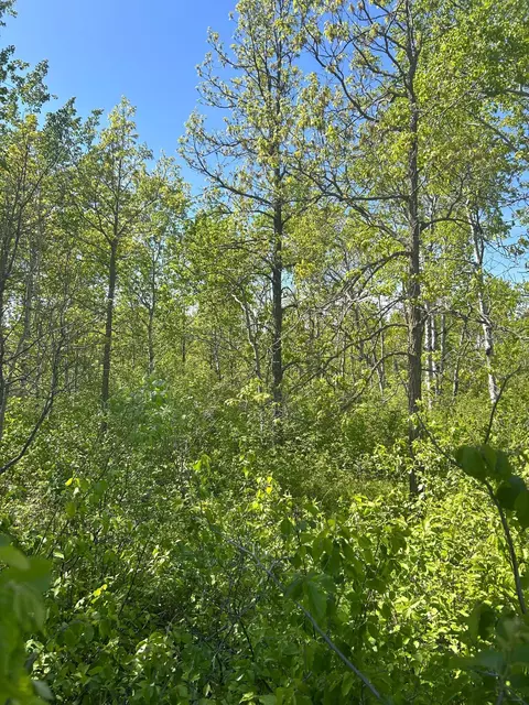 tbd 110th St, Strathcona, MN 56759 photo 24