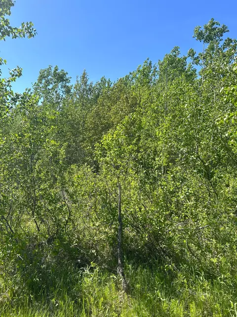 tbd 110th St, Strathcona, MN 56759 photo 28