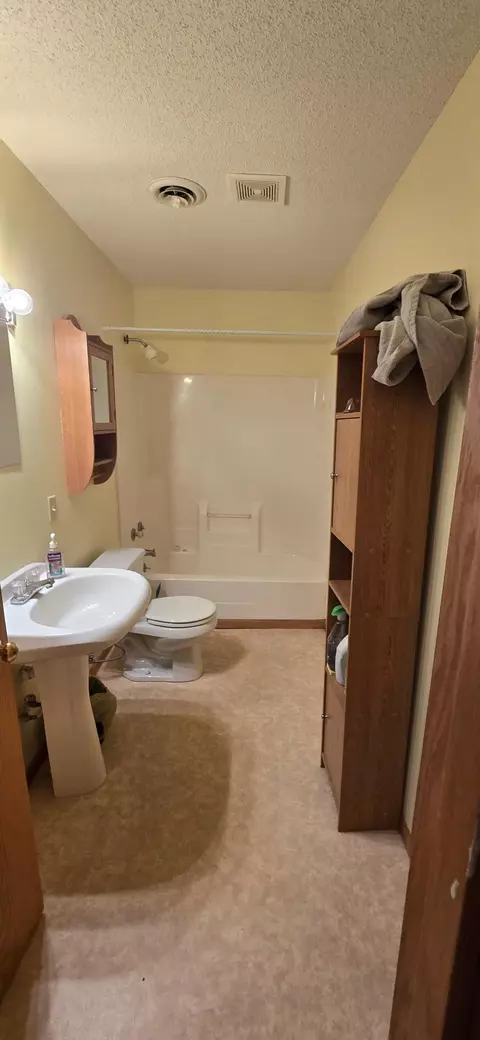 302 8th Ave S, Buffalo, MN 55313 photo 23