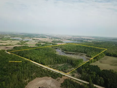 tbd 290th St, Oakland Twp, MN 56589