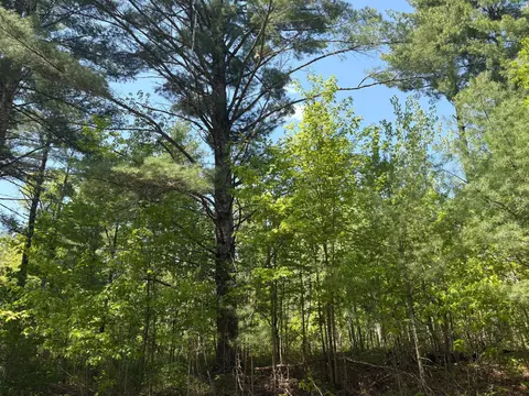 Nnnnn Eagle Drive, Danbury, WI 54830