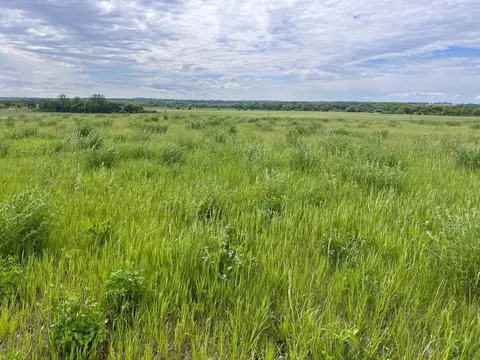 31099 El Mar Cir, Paynesville Twp, MN 56362