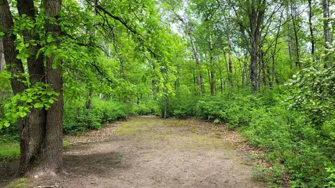 tbd State Highway 84 SW, Pine River, MN 56474