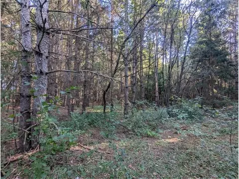 8 Nn 97th St, Amery, WI 54001