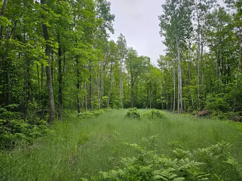 0000 280th Pl, Glen Twp, MN 56431