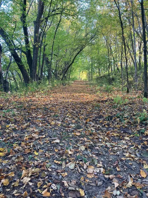 n7775 920th Street, River Falls, WI 54022 photo 31