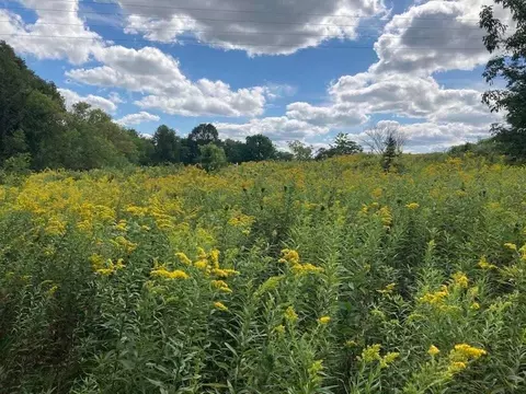 n7775 920th Street, River Falls, WI 54022 photo 33