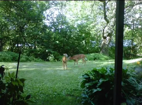 n7775 920th Street, River Falls, WI 54022 photo 30