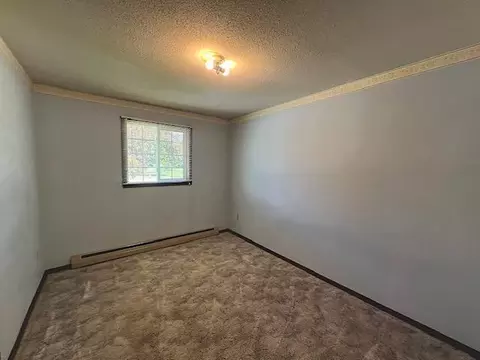 633 4th Ave SW, Perham, MN 56573 photo 27