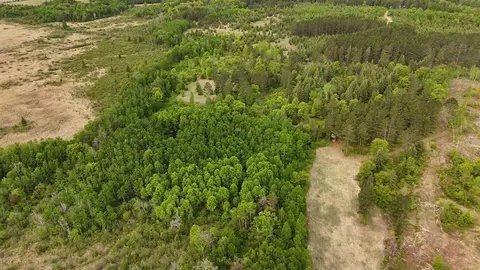22174 Co Rd 14, Sebeka, MN 56477