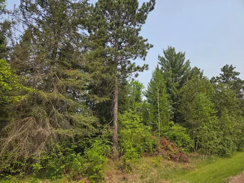 tbd Graycalm Ct SE, Bemidji Twp, MN 56601