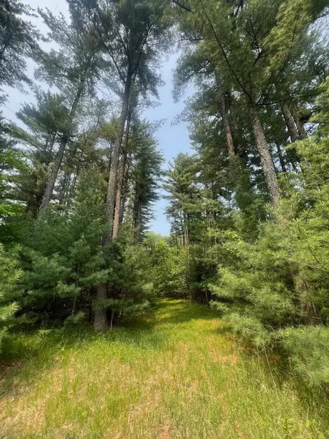 Nnn Benson Avenue, Grantsburg, WI 54840
