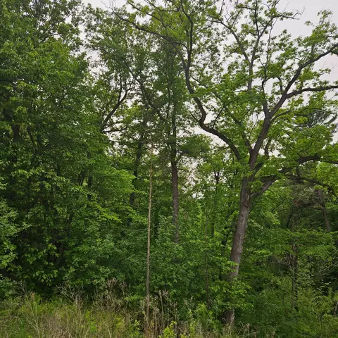 tbd 330th Ave, Weston Twp, WI 54740