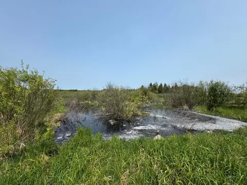 61075 County Road 236, Bigfork Twp, MN 56628 photo 9