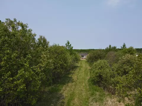 61075 County Road 236, Bigfork Twp, MN 56628 photo 3