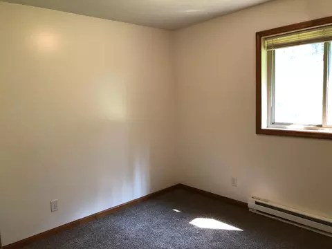 5617 Pine St, Tower, MN 55790 photo 21