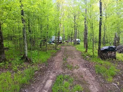 N10095 Woodland Lane, Phillips, WI 54555