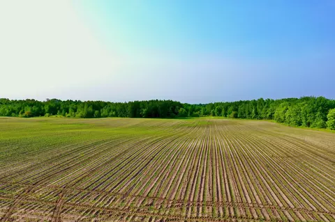 Na 465th Street, Sunrise Twp, MN 55032