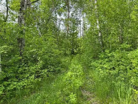 tbd Co Rd 141, Detroit Lakes, MN 56501