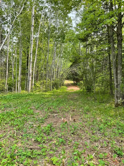 Nnn Zinter Road, Holyoke Twp, MN 55749