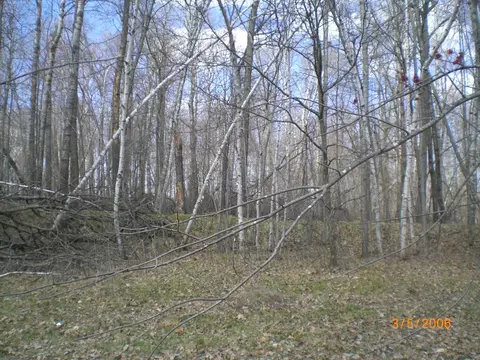 lot211 Catskill Cir, Breezy Point, MN 56472