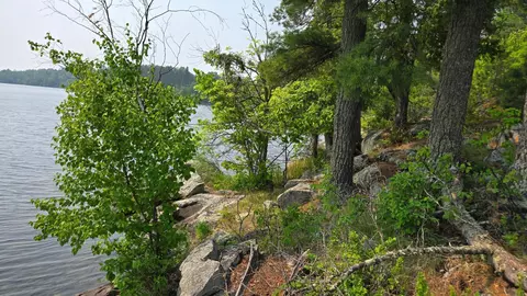 tbd 1185 Bessette Rd, Orr, MN 55771 photo 20