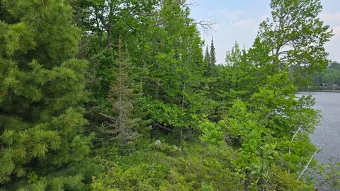 tbd 1185 Bessette Rd, Orr, MN 55771 photo 29