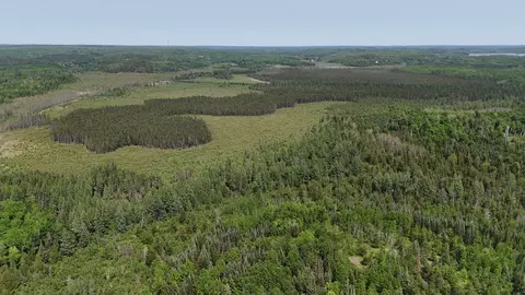 tbd 1185 Bessette Rd, Orr, MN 55771 photo 43