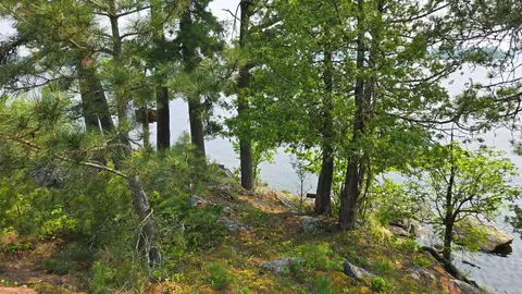 tbd 1185 Bessette Rd, Orr, MN 55771 photo 28