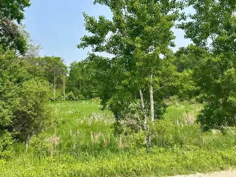 tbd County Highway 65, Henning, MN 56551 photo 5