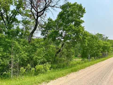 tbd County Highway 65, Henning, MN 56551 photo 4