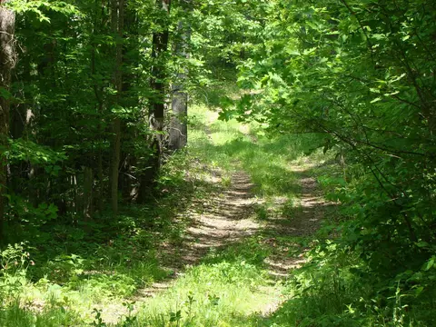 tbd Dam Rd, Emily, MN 56447 photo 2