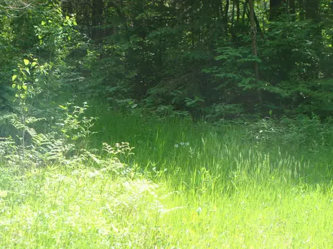 tbd Dam Rd, Emily, MN 56447 photo 4