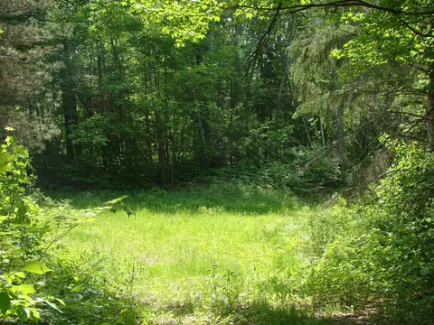tbd Dam Rd, Emily, MN 56447 photo 3